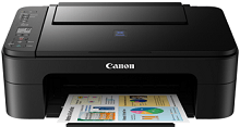 Canon PIXMA E3170 tiománaí