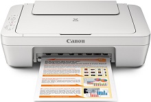 Canon PIXMA 2520 tiománaí