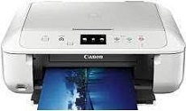 Canon PIXMA 6870 tiománaí