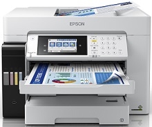 Epson ecotank l15160 tiománaí