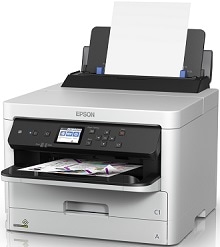 Epson workforce pro WF-c5290 tiománaí